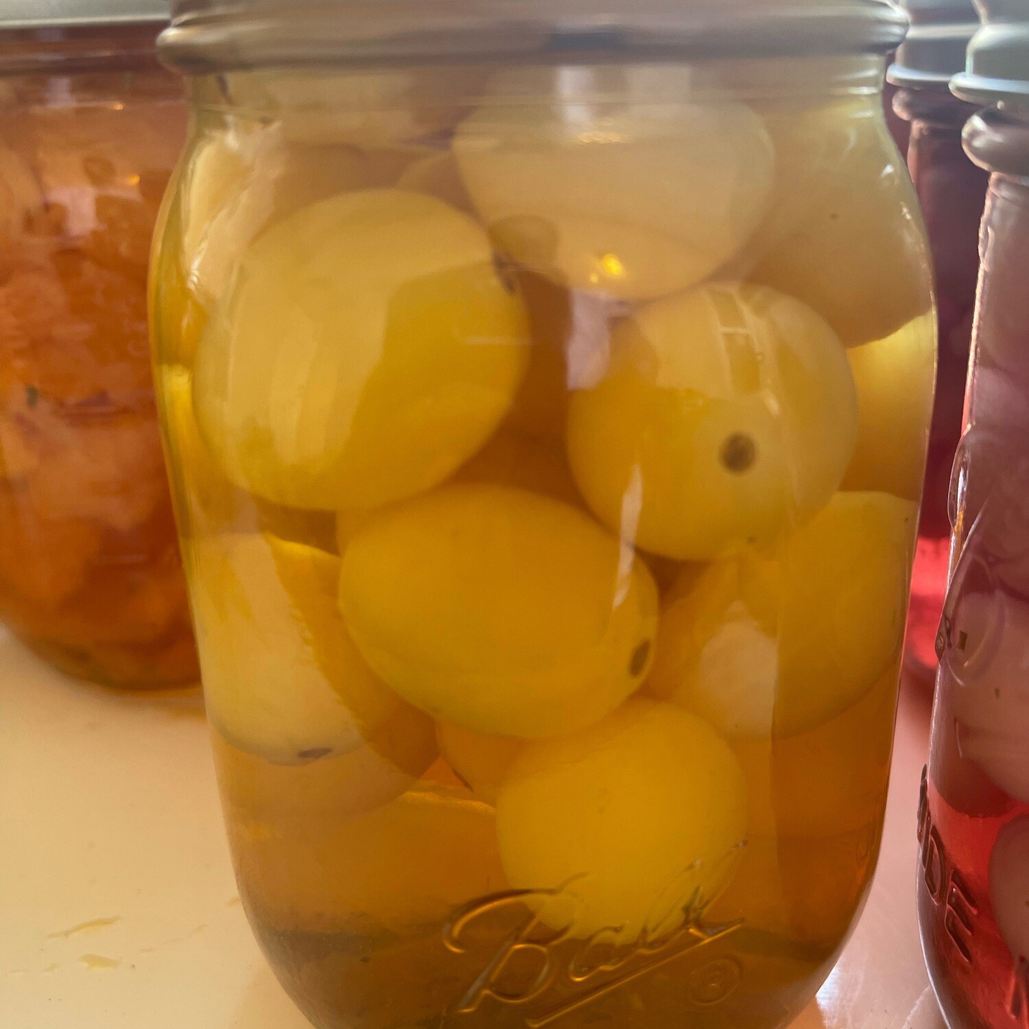 Pickled Tomatoes