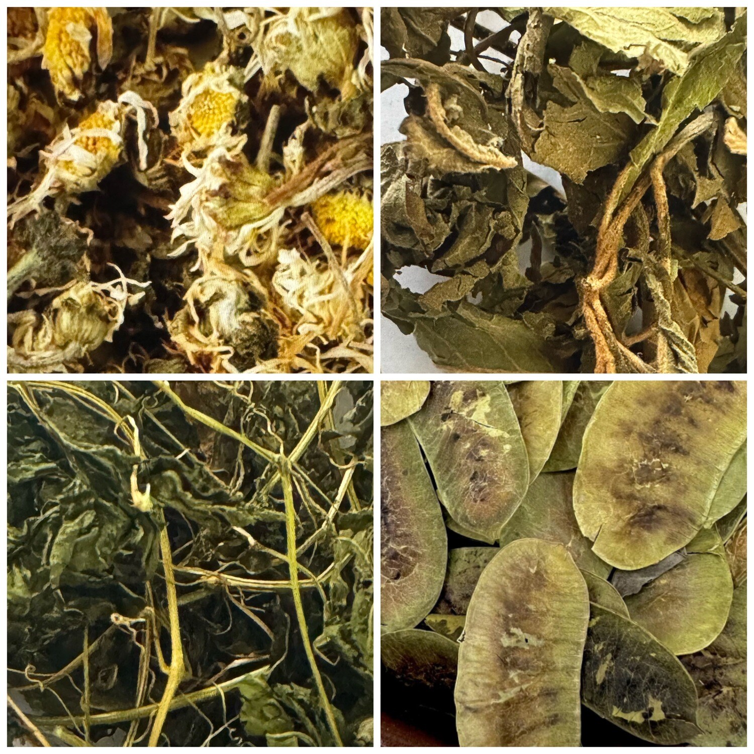 Detox Teas Box