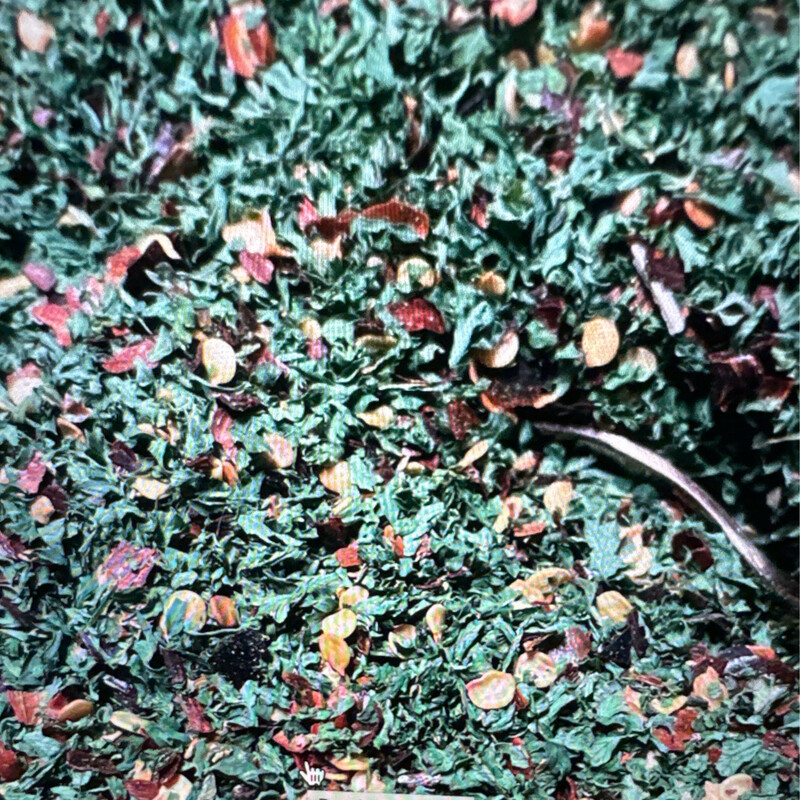 Parsley Pepper Box