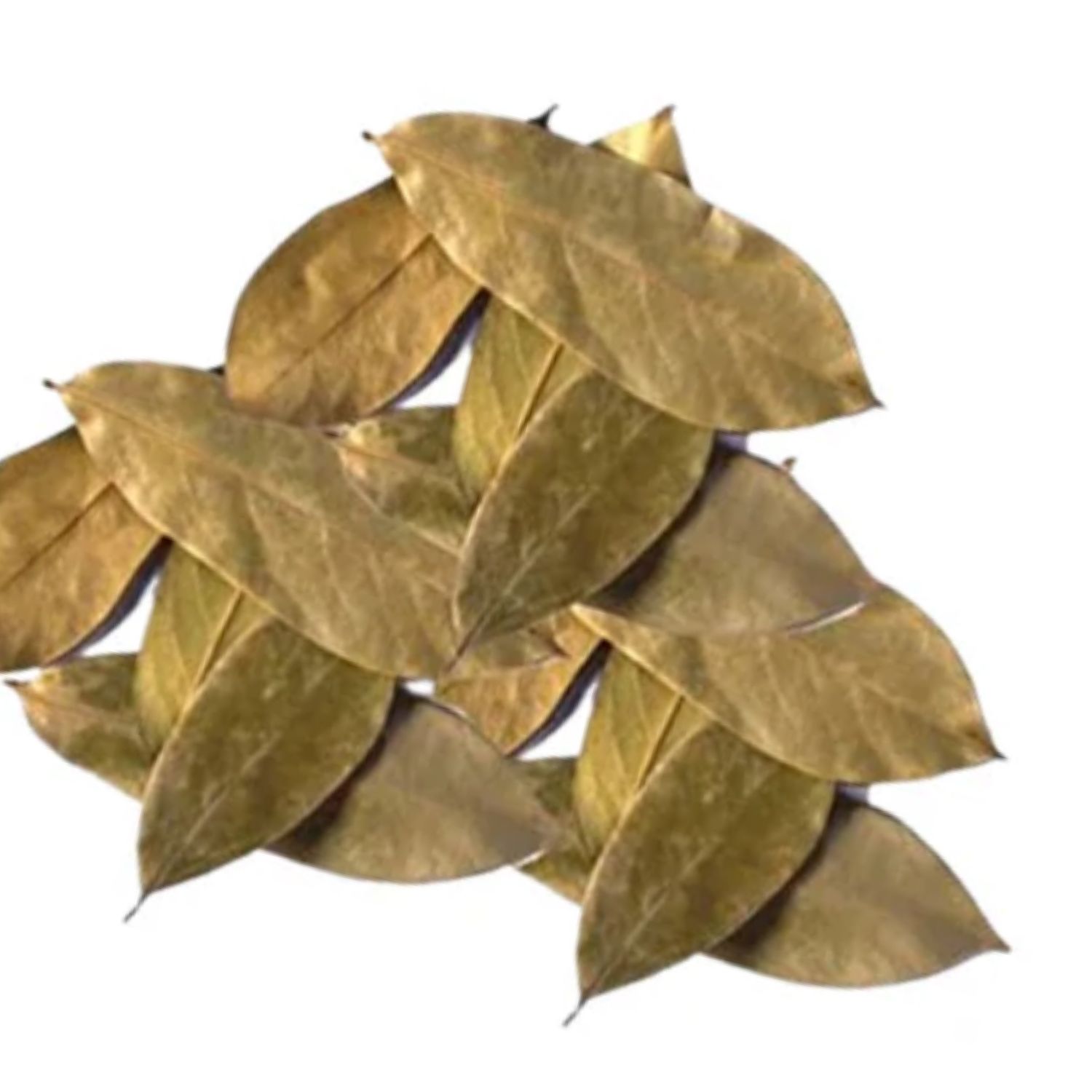 Soursop Tea Bag