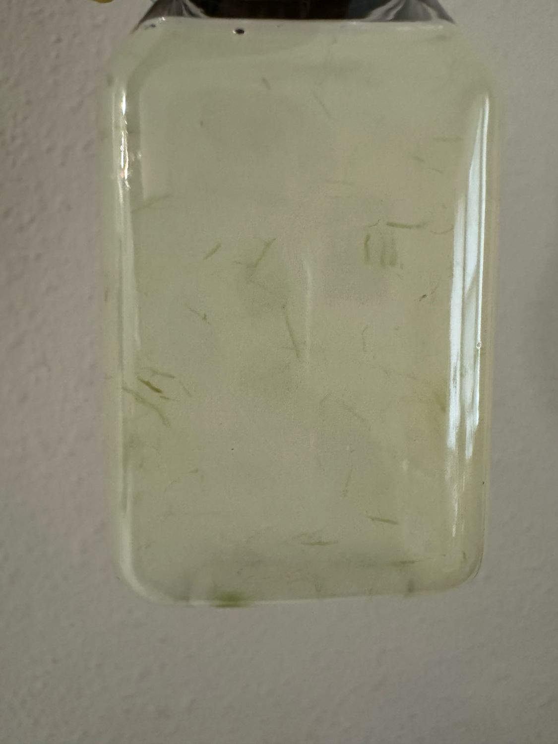 Aloe Vera Shot