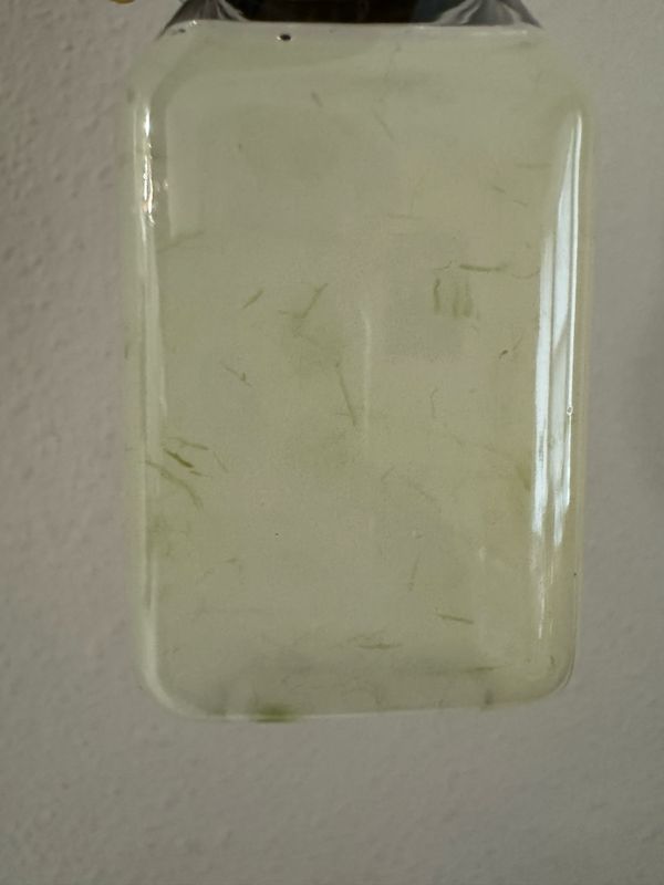Aloe Vera Shot