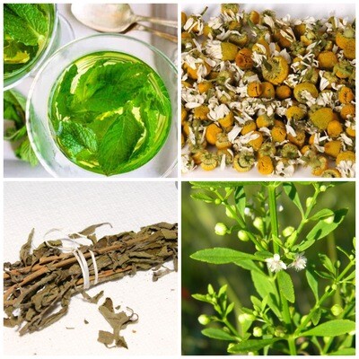 Bush Tea (Herbal Teas) Dried/Dehydrated