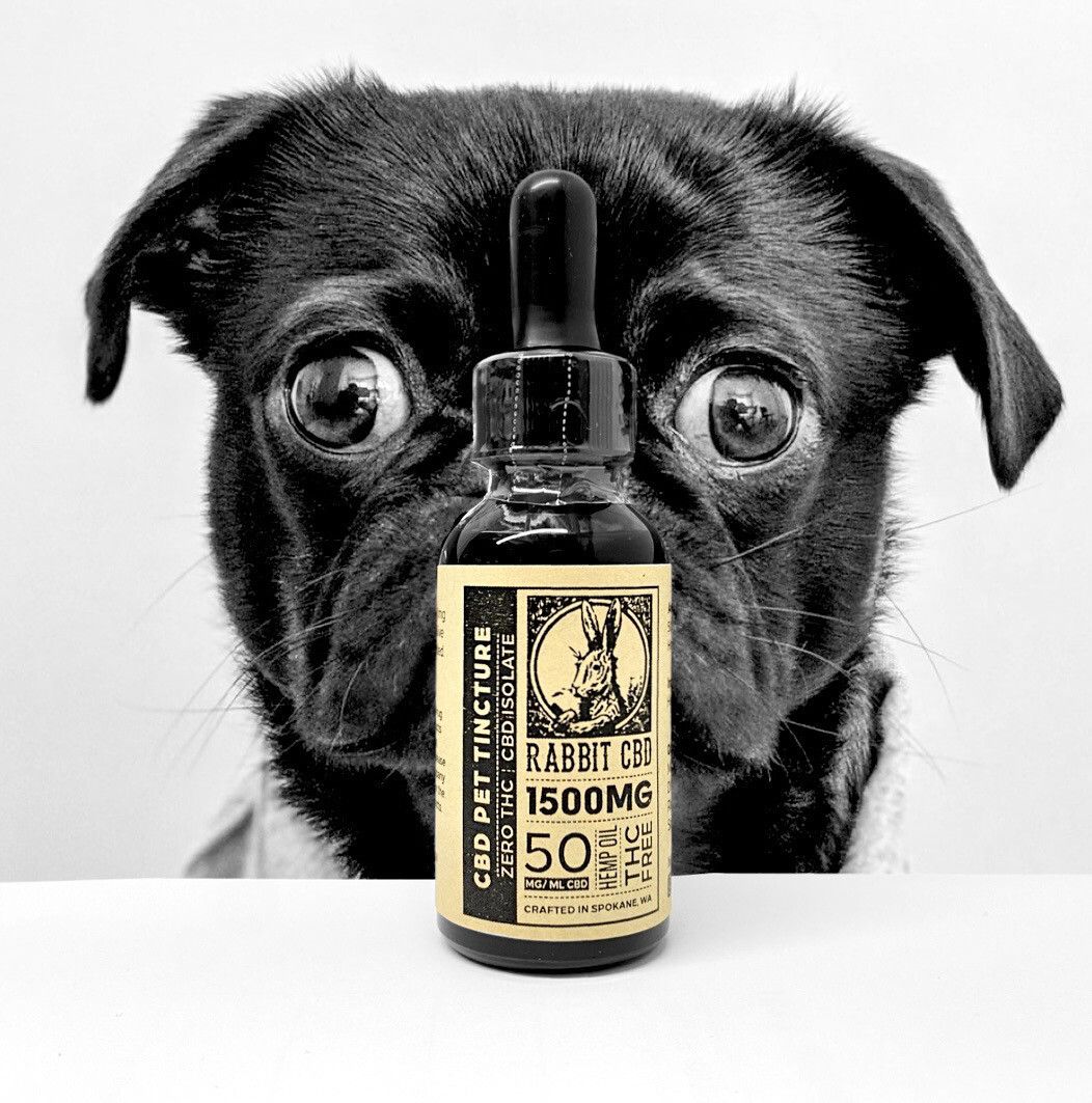 6000mg CBD Pet Tincture: Hemp Seed Oil