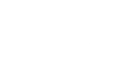 Nintendo WII