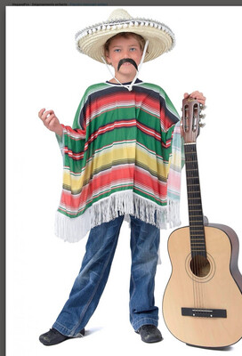 Déguisement Poncho mexicain Jadeo 