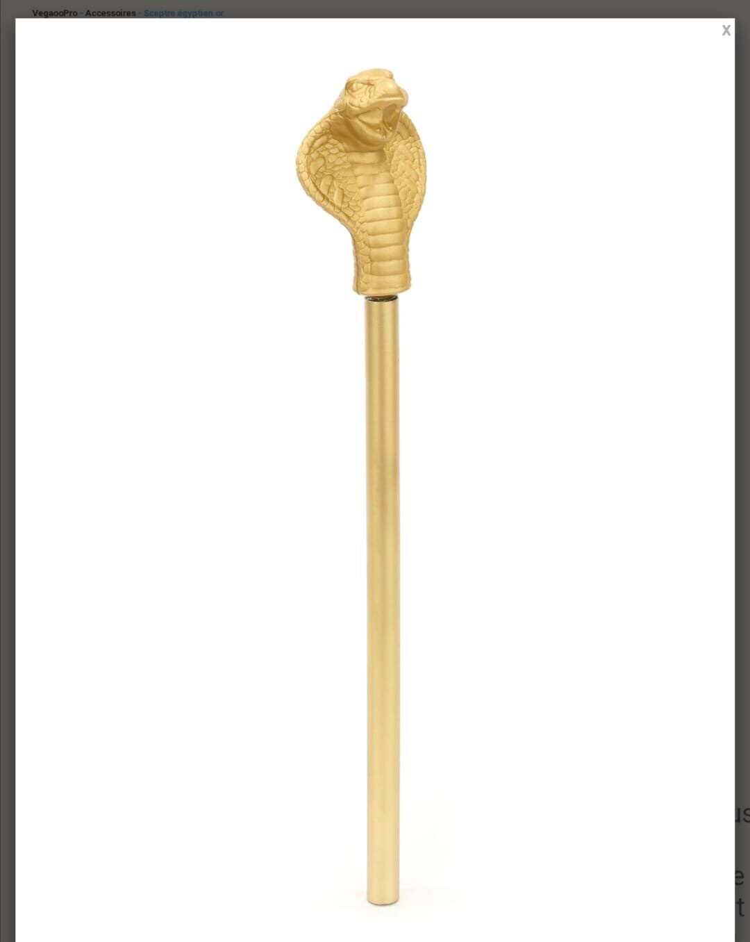  sceptre égyptien Carnaval 