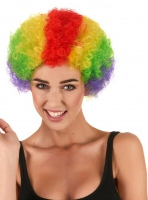 Perruque clown multicolore adulte Carnaval /Halloween 