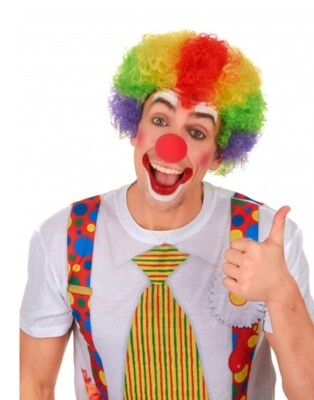 Perruque clown multicolore adulte Carnaval /Halloween 