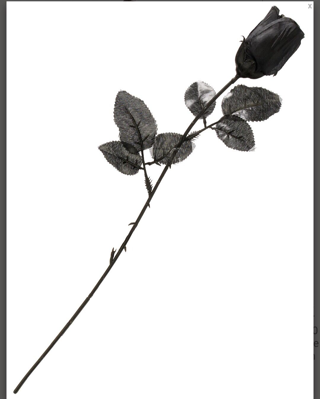 Rose noire déco Halloween 