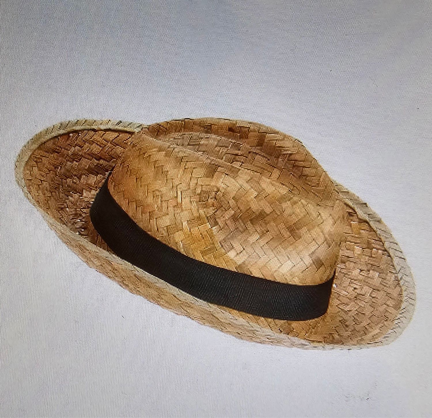 Chapeau Panama Carnaval 