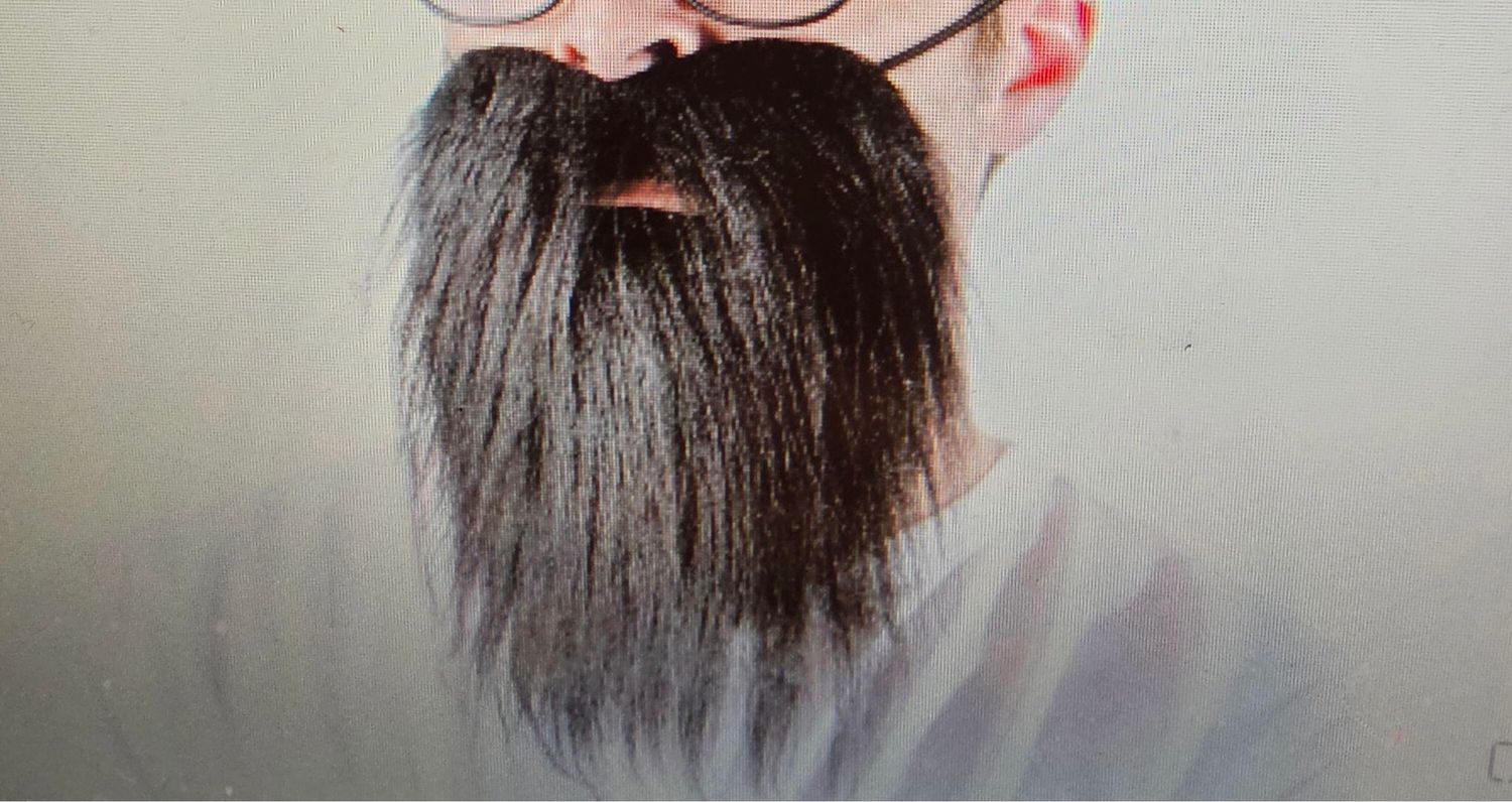 Barbe hipster Carnaval 