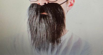 Barbe hipster Carnaval 