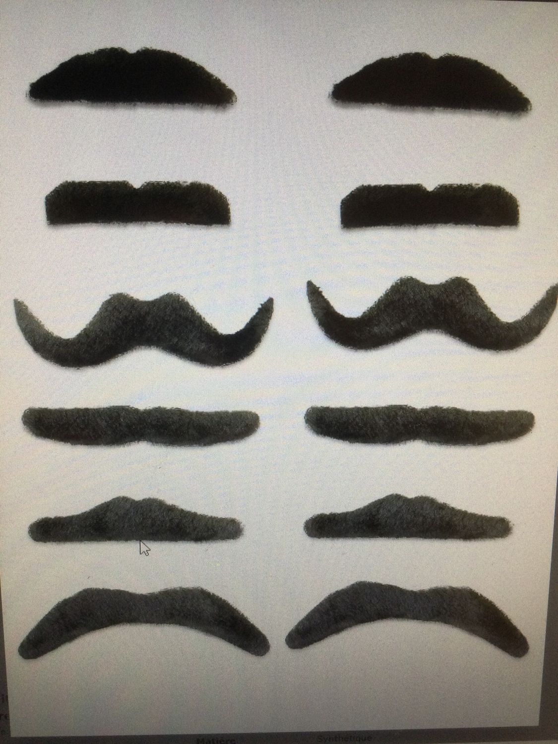 Moustaches noires Carnaval 