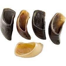 Hoof