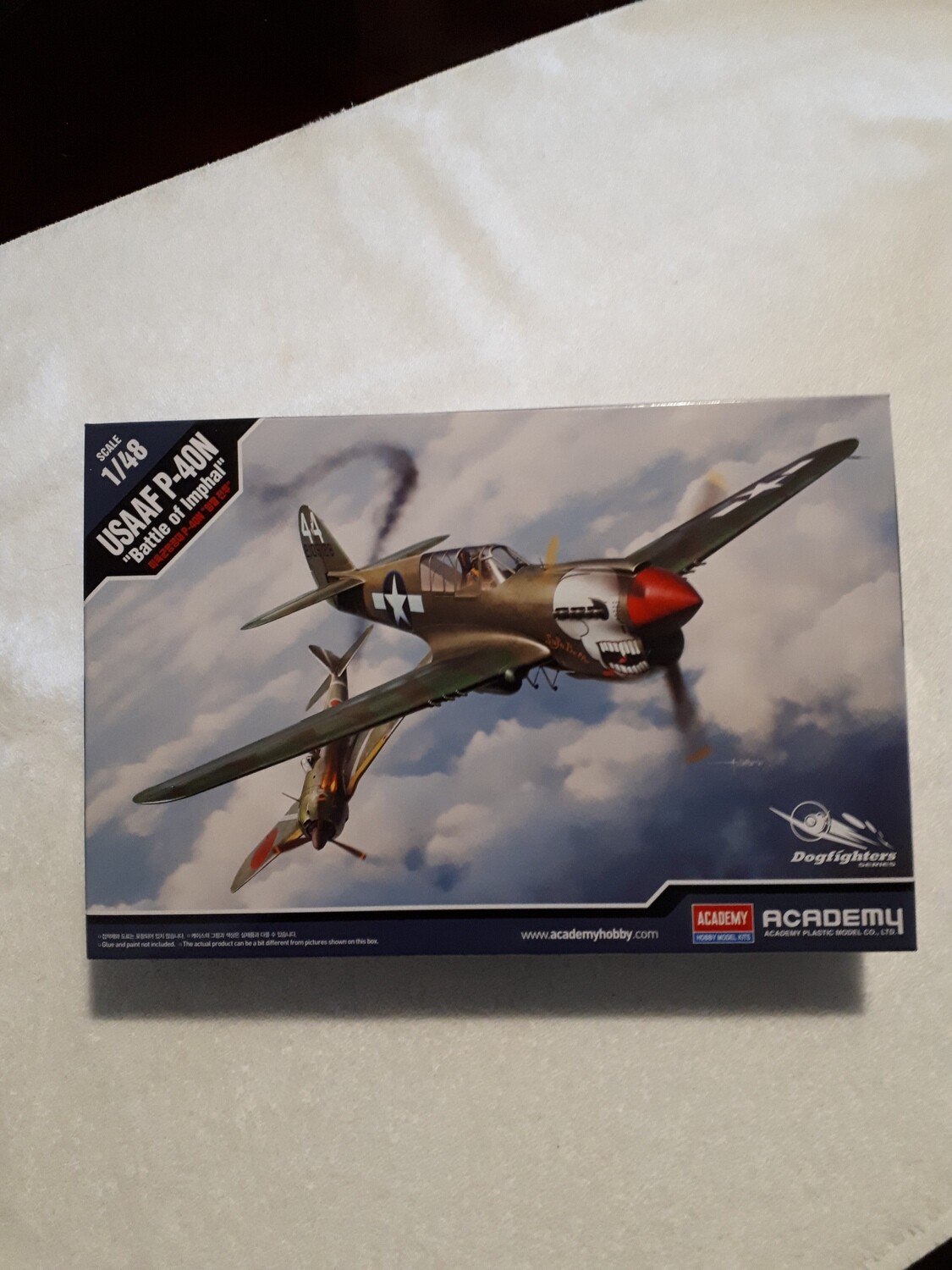 USAAF P-40N BATTLE OF IMPHAL Model Airplane Kit