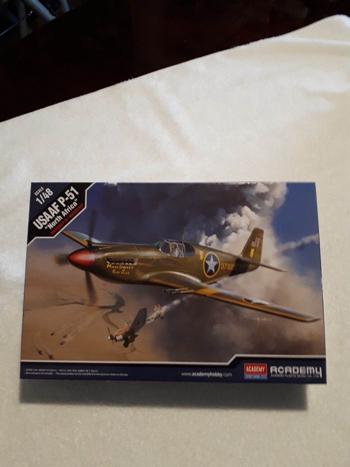 USAAF P-51 NORTH AFRICA Model Airplane Kit