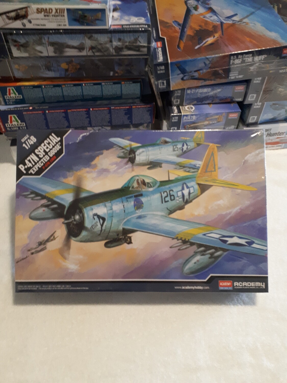 P-47N SPECIAL  Model Airplane Kit
