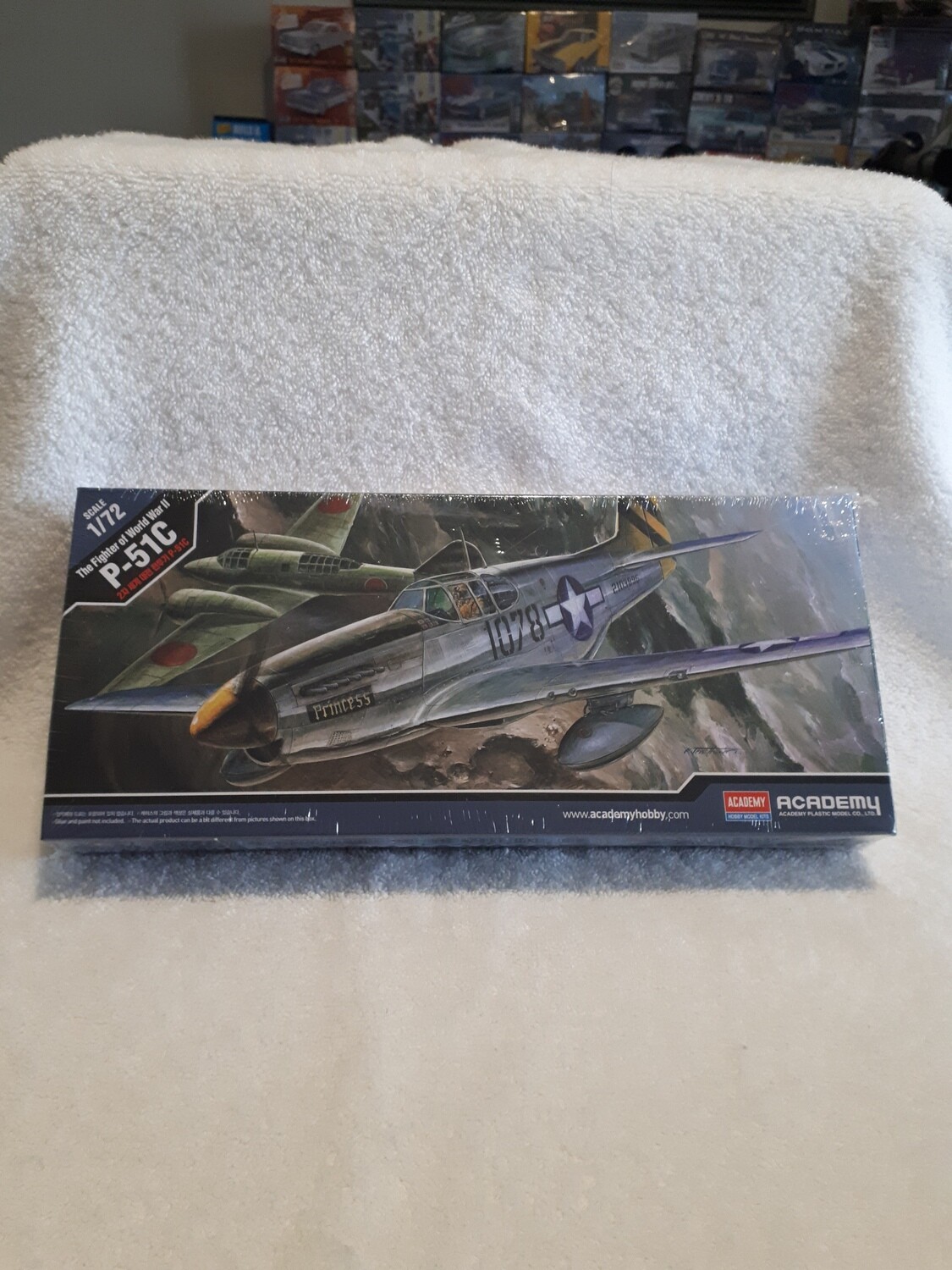 P-51C MUSTANG FIGHTER WII Model Airplane Kit