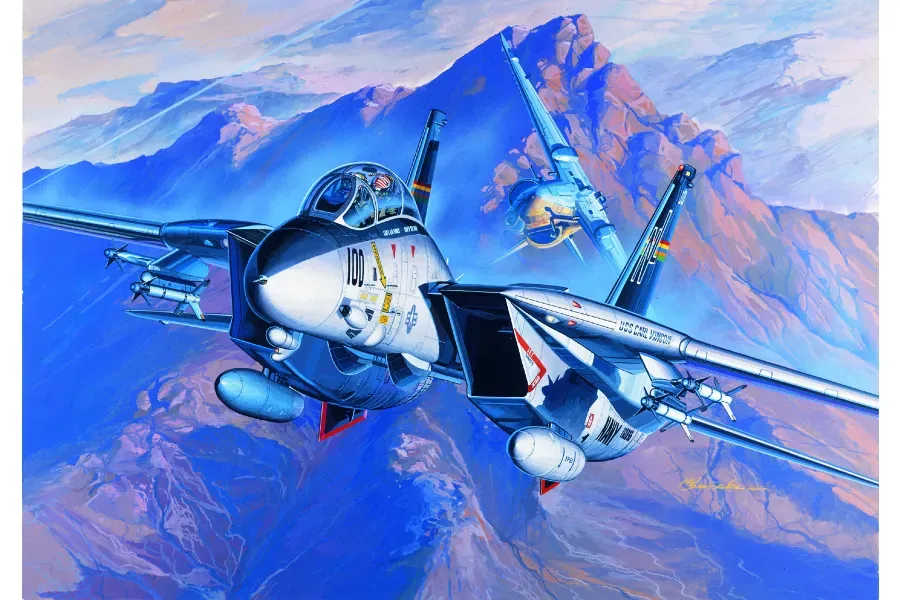 USN F-14A  TOMCAT Model Airplane Kit