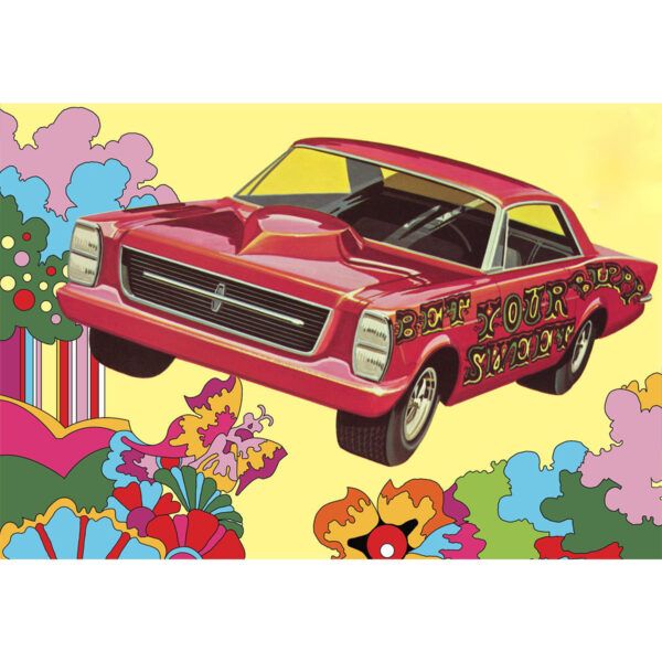 1966 Ford GALAXIE "SWEET BIPPY" Model Kit by AMT