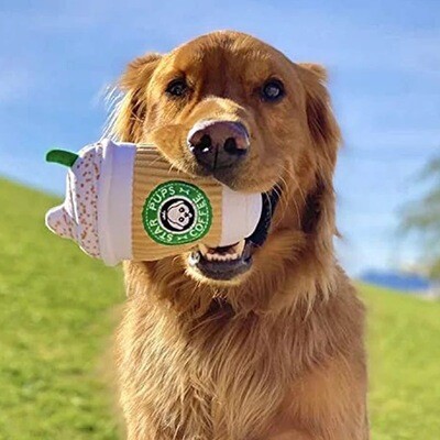 Plush Chew Squeaky Dog Toy Coffee Cup Design
