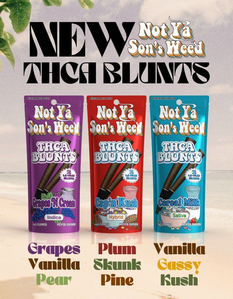 NOT YA SON'S WEED 2CT THC-A 2G PRE-ROLLS NOT YA SON'S WEED 2CT THC-A 2G PRE-ROLLS