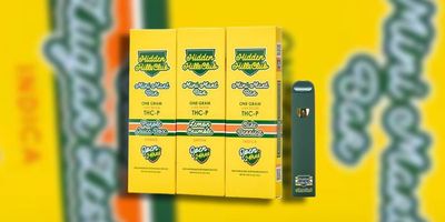 HIDDEN HILLS MINI MART BAR 1G THC-P DISPOSABLE