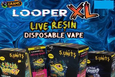 LOOPER XL MELTED SERIES 3.5G DISPOSABLE