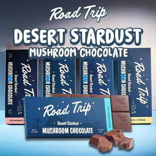 ROAD TRIP 48G DESERT STARDUST 8 PIECE CHOCOLATE BAR