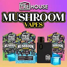 TRE HOUSE 2G MAGIC MUSHROOM VAPE