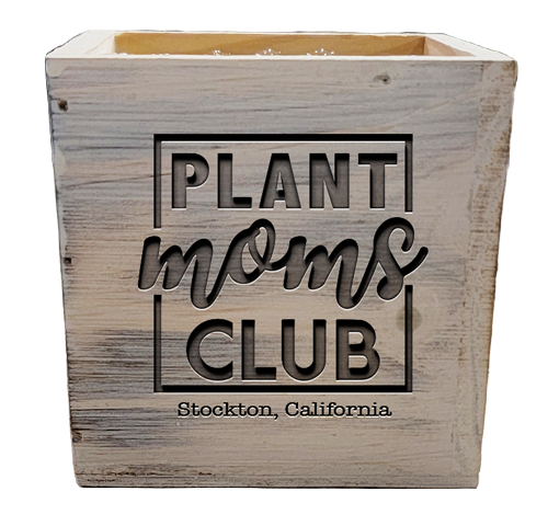 Plant Moms