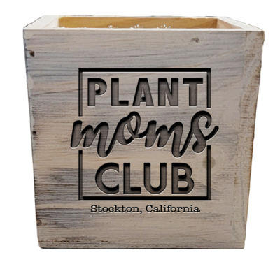 Plant Moms