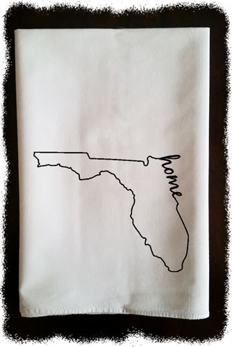 State Outline With Home