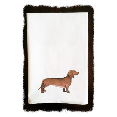 Dachshund