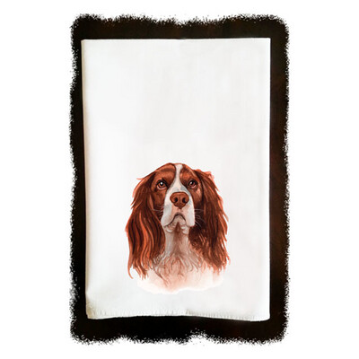 King Charles