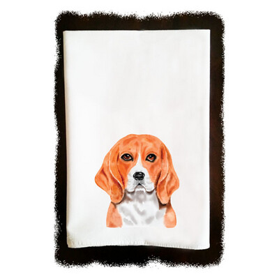 Beagle
