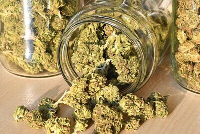 Cannabis buds