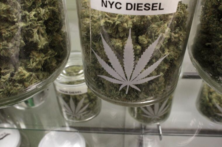 NYC Diesel