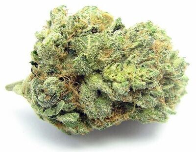 White Widow