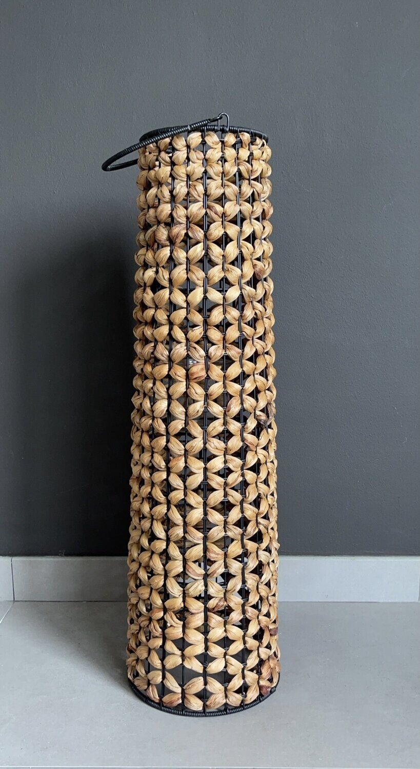 Lantaarn Hyacinth