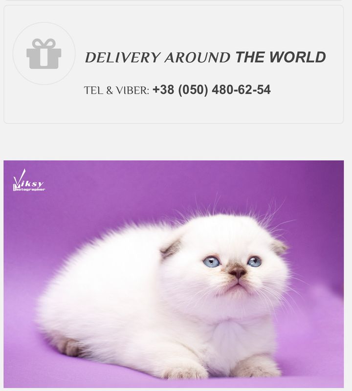 Delivery 