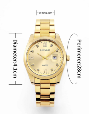 Denvosi  Gold Stainless Steel Watch