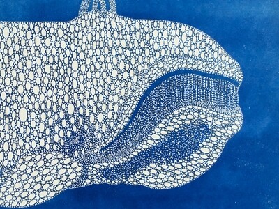 Atlantica - Whale