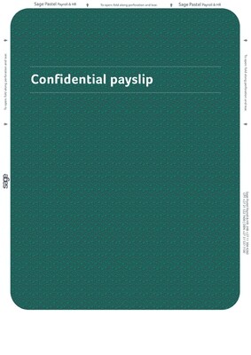 Payslip Paper