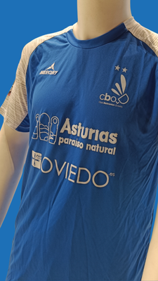Camisetas