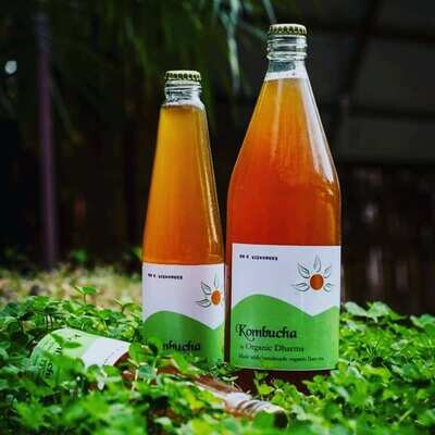 Kombucha