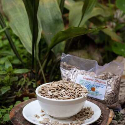 Sunflower seeds