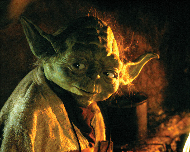 Yoda 8x10 Signed