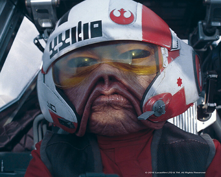 Nien Nunb X-Wing 8x10 Signed